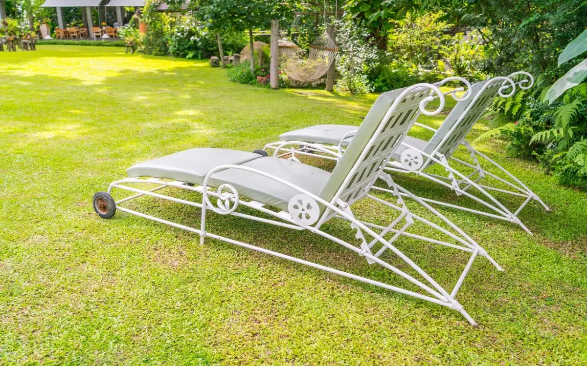 L’errore banale che stai facendo in giardino: ecco i tre lavori essenziali per non rovinare le piante