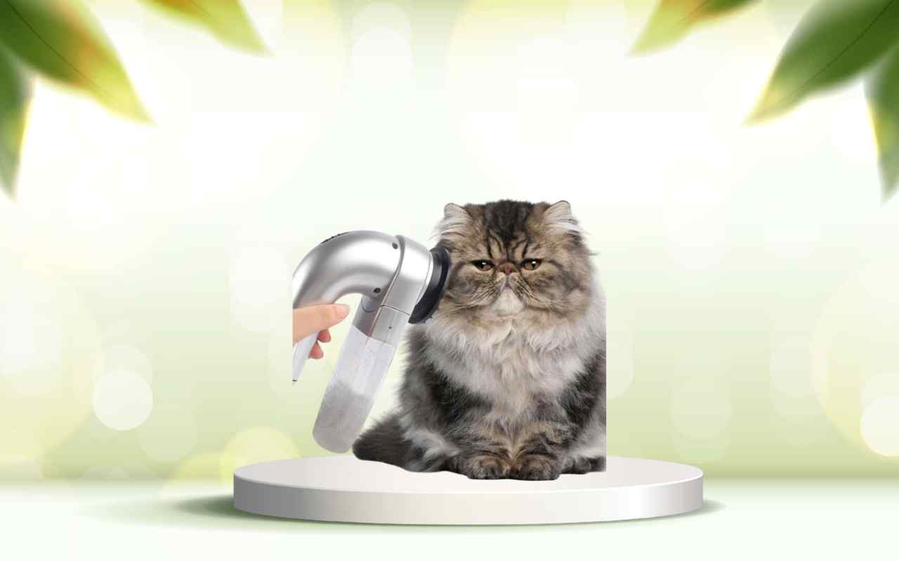 Scopri SpazzolAmica: elimina i peli degli animali da casa in modo facile e veloce